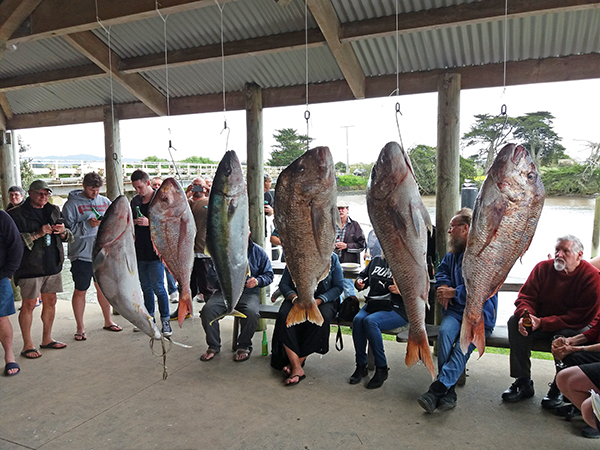 Waipu Boat & Fishing Club Labour Weekend competition 2017